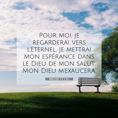 Michée 7:7 LSG Image du verset biblique