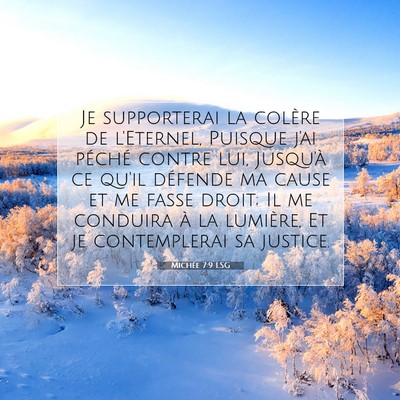 Michée 7:9 LSG Image du verset biblique