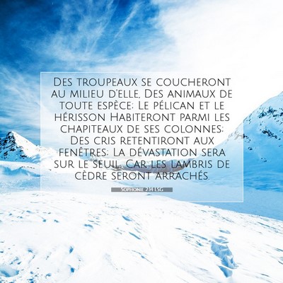 Sophonie 2:14 LSG Image du verset biblique