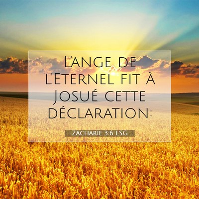 Zacharie 3:6 LSG Image du verset biblique