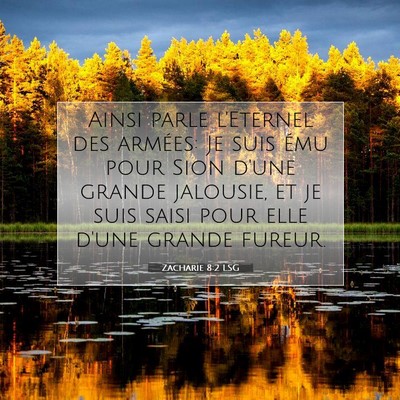 Zacharie 8:2 LSG Image du verset biblique