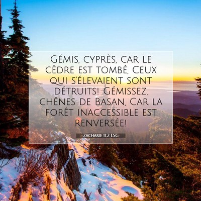 Zacharie 11:2 LSG Image du verset biblique