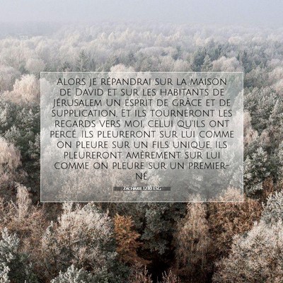 Zacharie 12:10 LSG Image du verset biblique