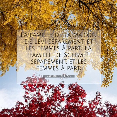 Zacharie 12:13 LSG Image du verset biblique