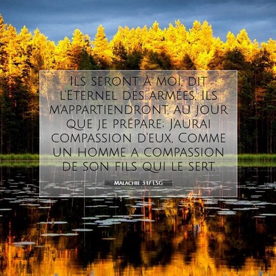 Malachie 3:17 LSG Image du verset biblique