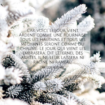 Malachie 4:1 LSG Image du verset biblique