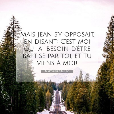 Matthieu 3:14 LSG Image du verset biblique