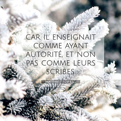 Matthieu 7:29 LSG Image du verset biblique