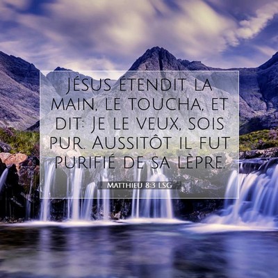 Matthieu 8:3 LSG Image du verset biblique