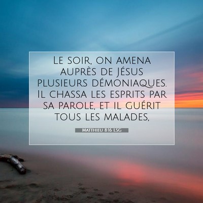 Matthieu 8:16 LSG Image du verset biblique