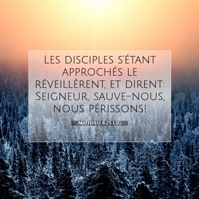 Matthieu 8:25 LSG Image du verset biblique