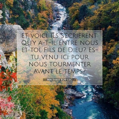 Matthieu 8:29 LSG Image du verset biblique