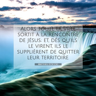 Matthieu 8:34 LSG Image du verset biblique