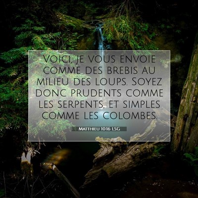 Matthieu 10:16 LSG Image du verset biblique