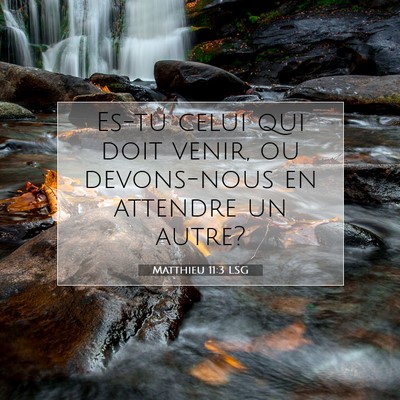 Matthieu 11:3 LSG Image du verset biblique