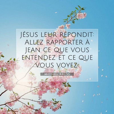 Matthieu 11:4 LSG Image du verset biblique