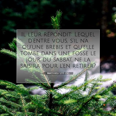 Matthieu 12:11 LSG Image du verset biblique