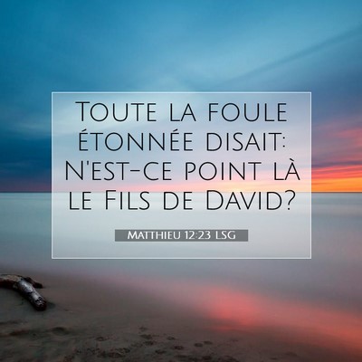 Matthieu 12:23 LSG Image du verset biblique