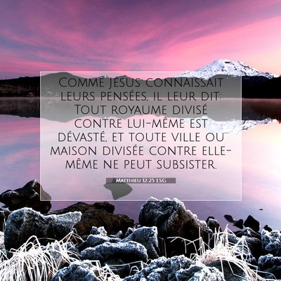 Matthieu 12:25 LSG Image du verset biblique