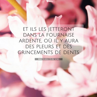 Matthieu 13:42 Verset biblique expliqué