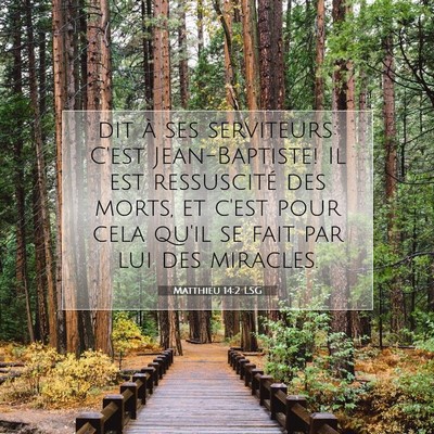 Matthieu 14:2 LSG Image du verset biblique