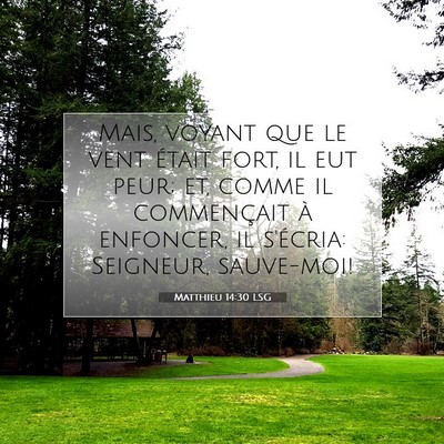 Matthieu 14:30 LSG Image du verset biblique