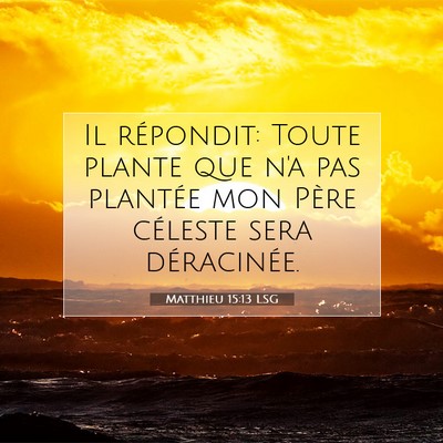 Matthieu 15:13 LSG Image du verset biblique