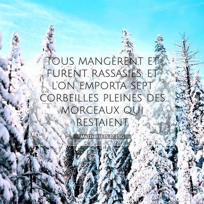 Matthieu 15:37 LSG Image du verset biblique