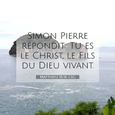 Matthieu 16:16 LSG Image du verset biblique