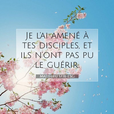 Matthieu 17:16 LSG Image du verset biblique