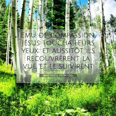 Matthieu 20:34 LSG Image du verset biblique