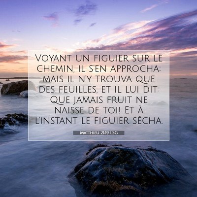 Matthieu 21:19 LSG Image du verset biblique