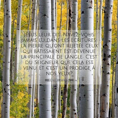 Matthieu 21:42 LSG Image du verset biblique