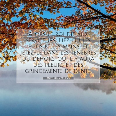 Matthieu 22:13 LSG Image du verset biblique