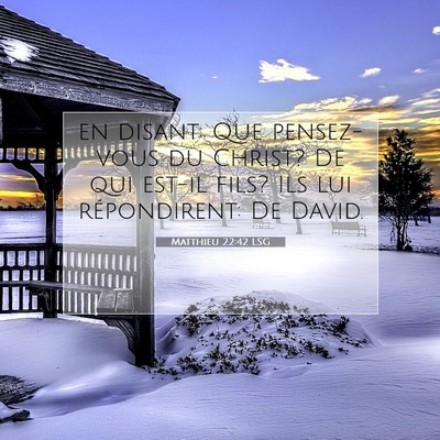 Matthieu 22:42 LSG Image du verset biblique