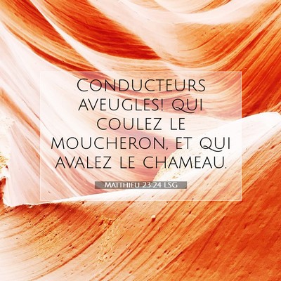 Matthieu 23:24 Verset biblique expliqué