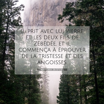 Matthieu 26:37 Verset biblique expliqué