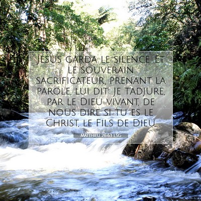 Matthieu 26:63 LSG Image du verset biblique