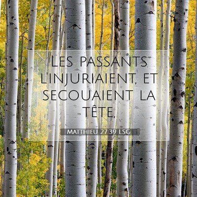 Matthieu 27:39 LSG Image du verset biblique