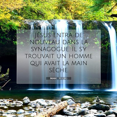 Marc 3:1 LSG Image du verset biblique