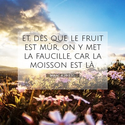 Marc 4:29 LSG Image du verset biblique