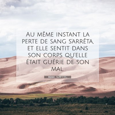 Marc 5:29 LSG Image du verset biblique