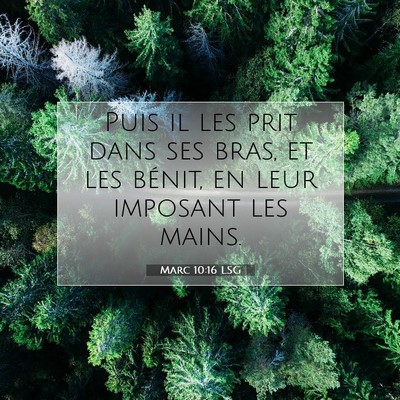 Marc 10:16 LSG Image du verset biblique