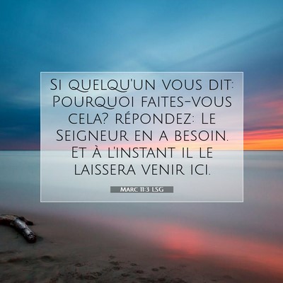 Marc 11:3 Verset biblique expliqué