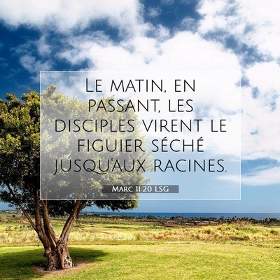 Marc 11:20 Verset biblique expliqué