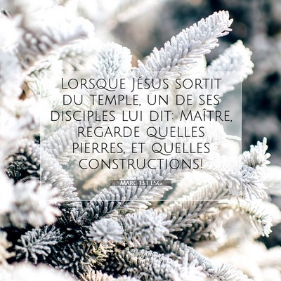 Marc 13:1 LSG Image du verset biblique