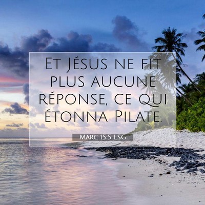 Marc 15:5 LSG Image du verset biblique