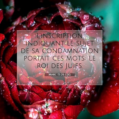 Marc 15:26 LSG Image du verset biblique