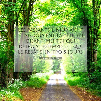 Marc 15:29 LSG Image du verset biblique