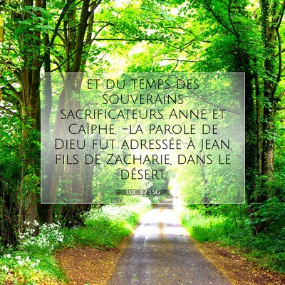 Luc 3:2 LSG Image du verset biblique